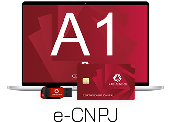 e-CNPJ: A Assinatura Digital da Sua Empresa